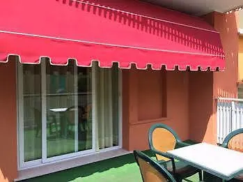 Rex 卡奥莱