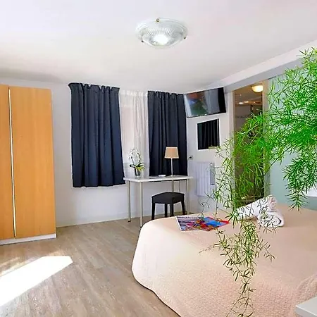 Hotel Rex 3*